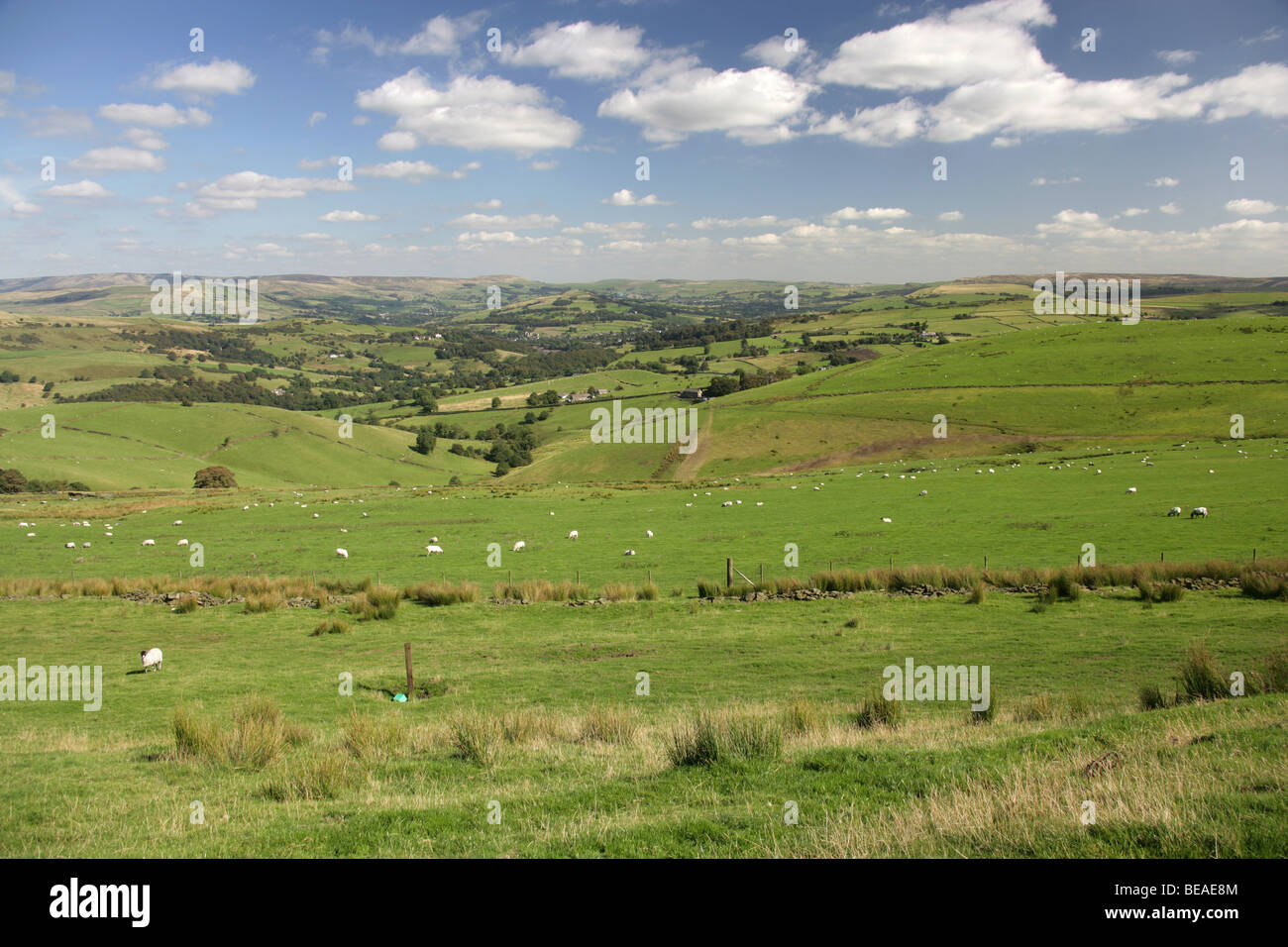 Cheshire est vue depuis près de Sponds rural Hill sur le sentier de pierre meulière, à l'Est, vers Kettleshulme et Whaley Bridge. Banque D'Images