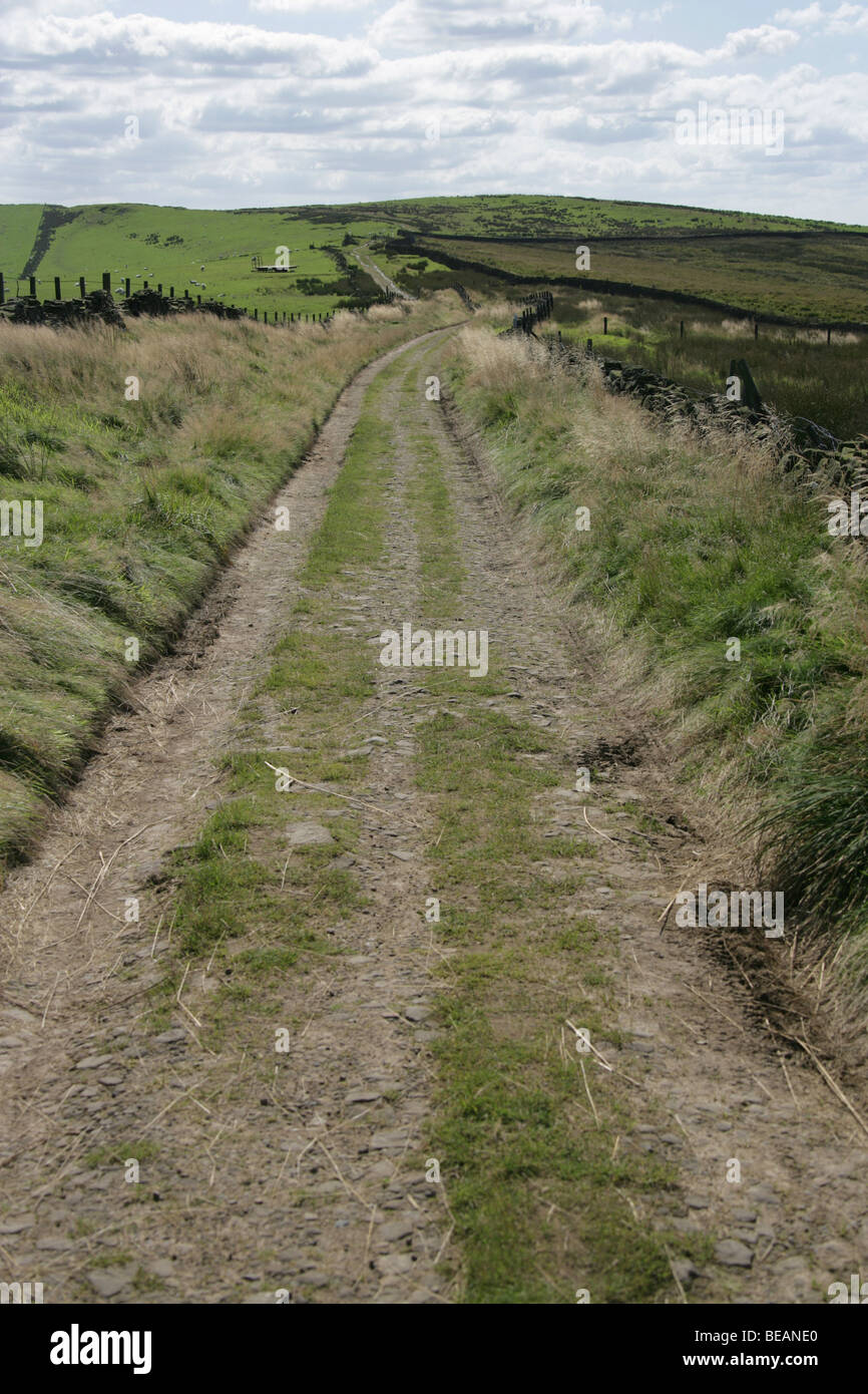 Le sentier de pierre meulière, East Cheshire, Angleterre. Droit de passage public chemin menant d'Bowstones Sponds porte à la vers la colline parlementaire. Banque D'Images