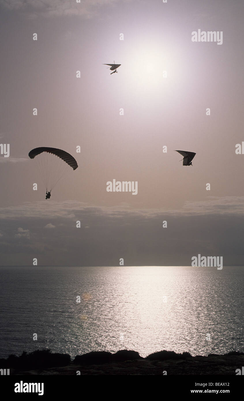 Les parapentes et Parasailer, Torrey Pines Glider Port, La Jolla, Californie Banque D'Images