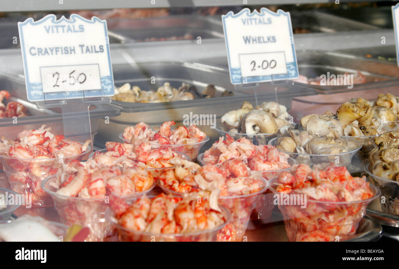 Des fruits de mer dans une vitrine à St Ives, Cornwall Banque D'Images