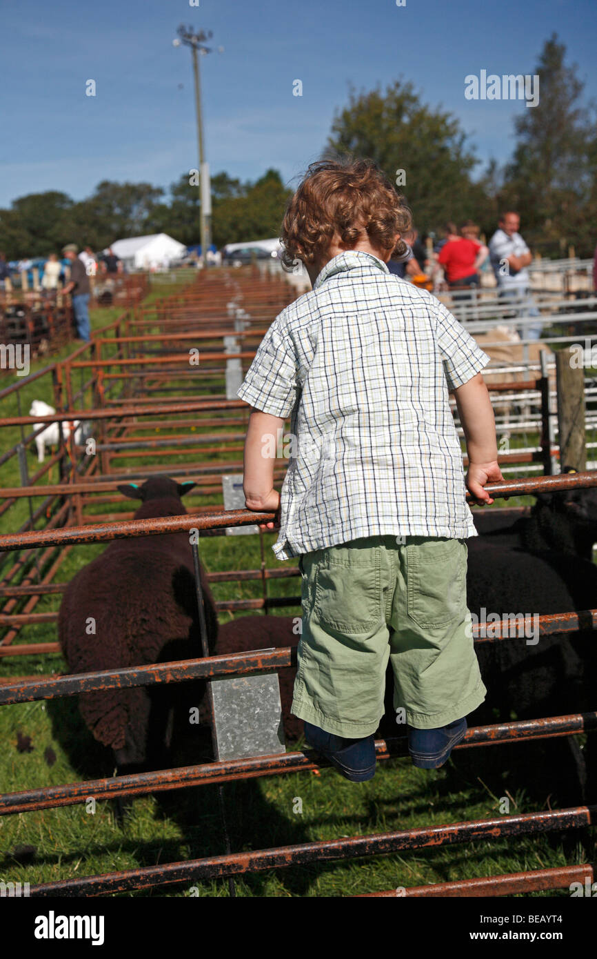 Ystradfellte Show Village, Pays de Galles, Royaume-Uni Banque D'Images