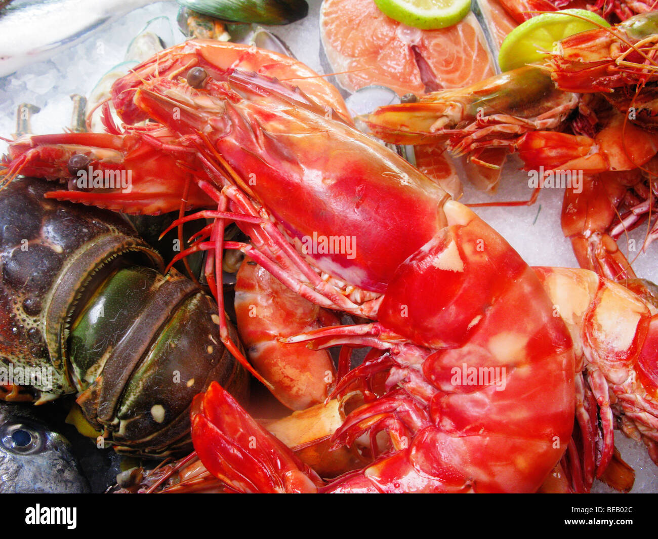 Affichage des crevettes fraîches et le homard, restaurant de poissons , Rethymnon Crète, Grèce Banque D'Images