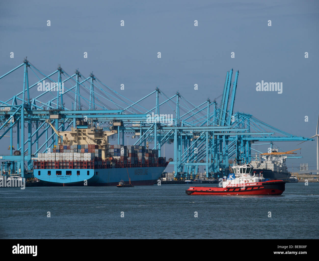 Terminal à conteneurs avec de grands navires dans le port de Rotterdam, Zuid Holland, Pays-Bas Banque D'Images