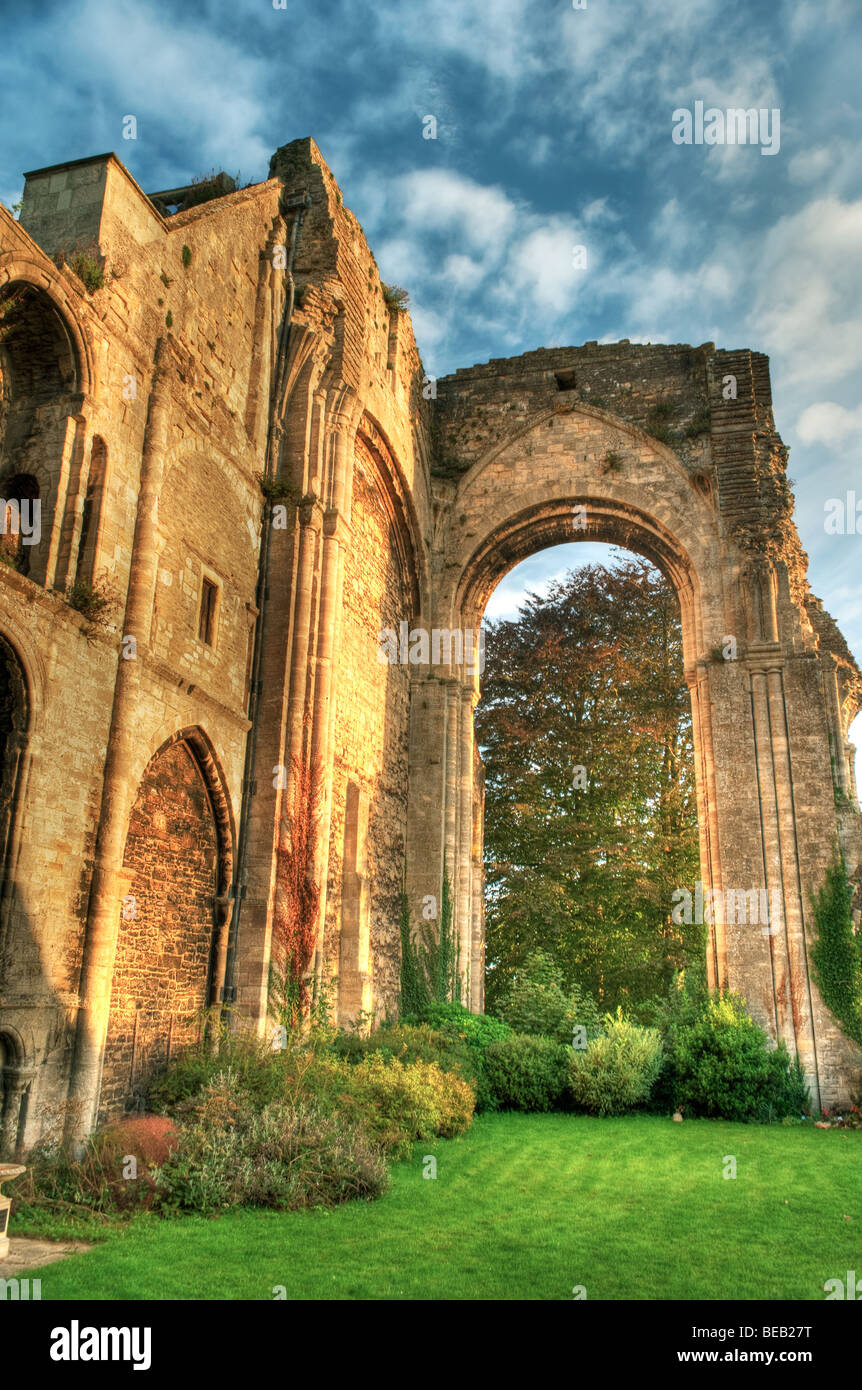 Abbaye de Malmesbury mur est et reste d'archway in early morning light Banque D'Images
