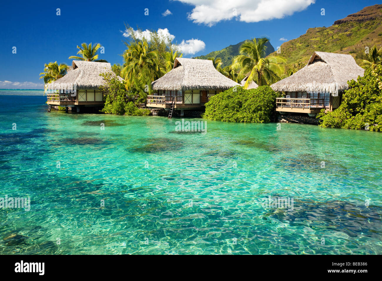 Bungalows sur pilotis avec des marches en incroyable green lagoon Banque D'Images