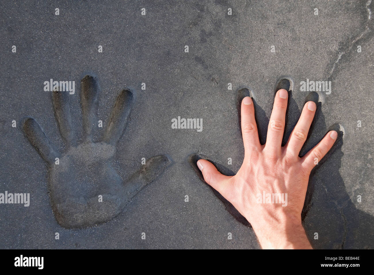 Sa main sur une empreinte, le Grauman's Chinese Theater, du Hollywood Boulevard, Hollywood, Los Angeles, Californie, USA Banque D'Images