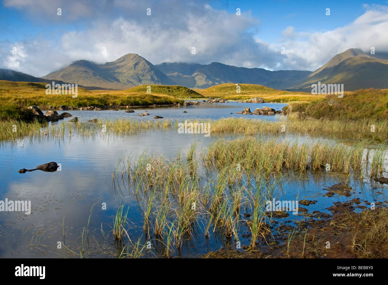 Les piscines rocheuses et de Lochans Blackmount sur Rannoch Moor Ecosse 5337 SCO Banque D'Images