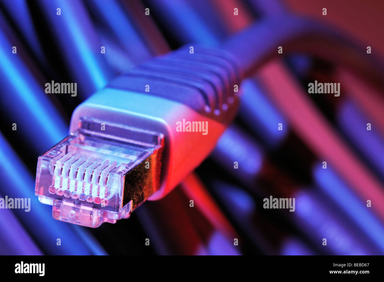 Câble Ethernet haute vitesse Banque D'Images