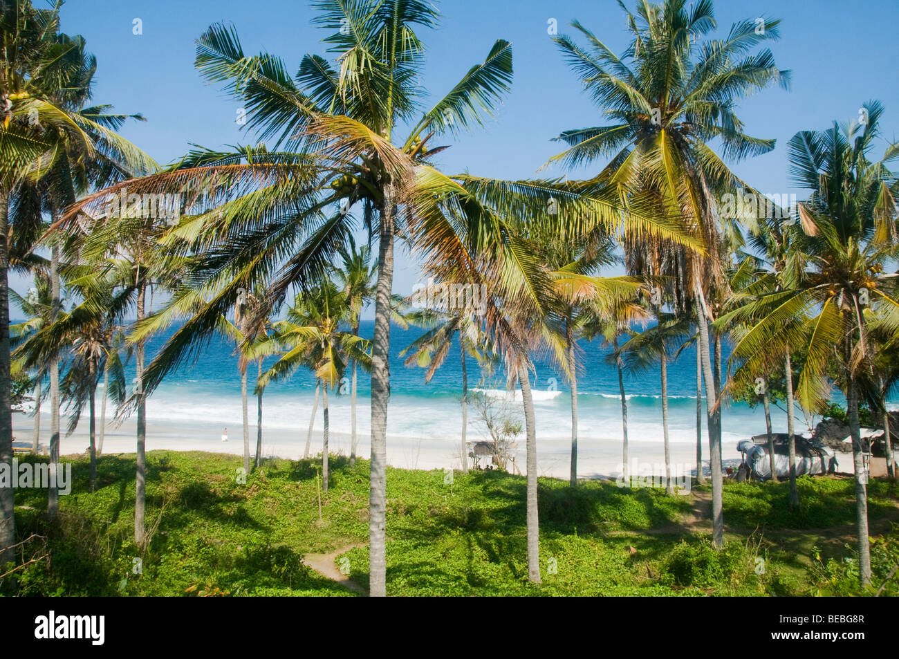 Belle plage espionné par les palmiers à Bali Indonésie Banque D'Images