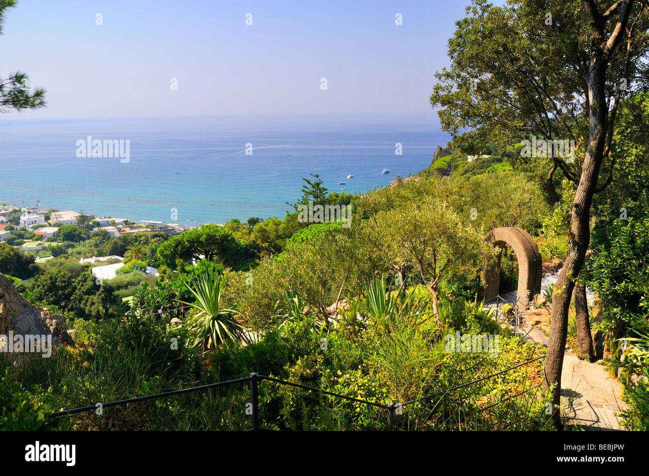 Les Jardins De La Mortella, créé sur l'île de Ischia du compositeur anglais Sir William et Lady Walton Banque D'Images