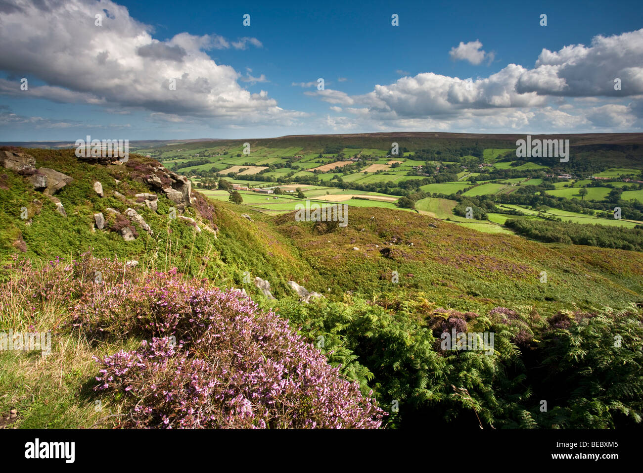 Danby Dale en été, North York Moors National Park Banque D'Images