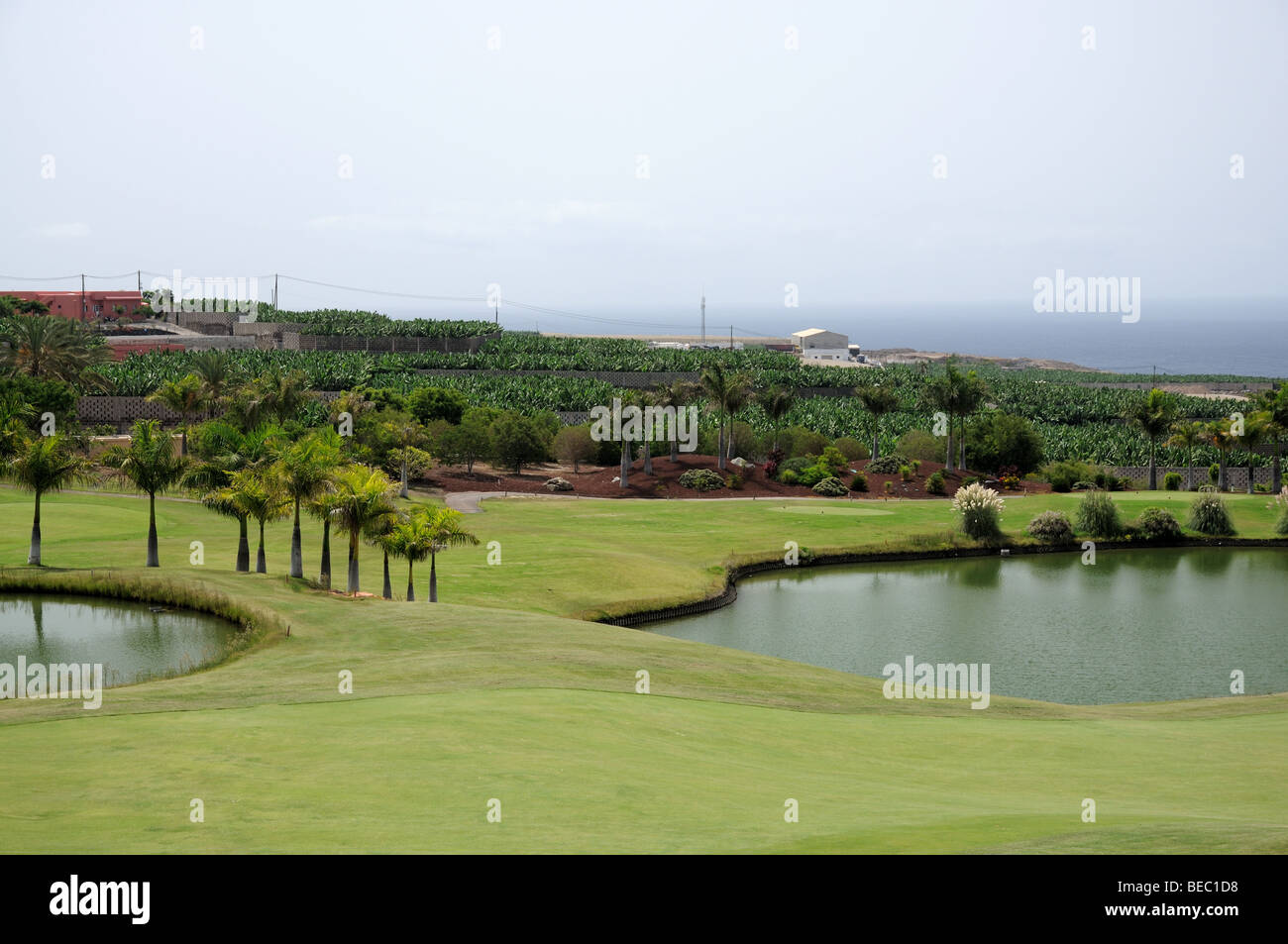 Golf sur île des Canaries Tenerife, Espagne Banque D'Images