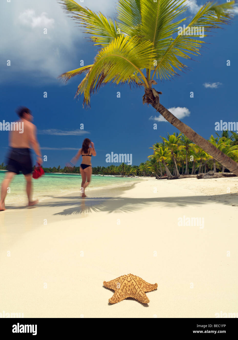République dominicaine, Punta Cana, Bavaro Beach,couple en train de marcher sur la plage bordée de palmiers Banque D'Images