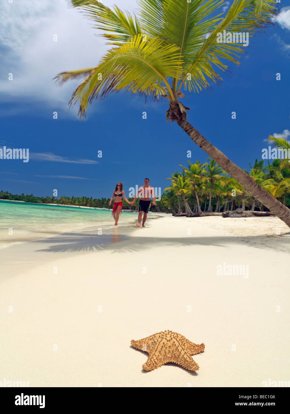 République dominicaine, Punta Cana, Bavaro Beach,couple en train de marcher sur la plage bordée de palmiers Banque D'Images