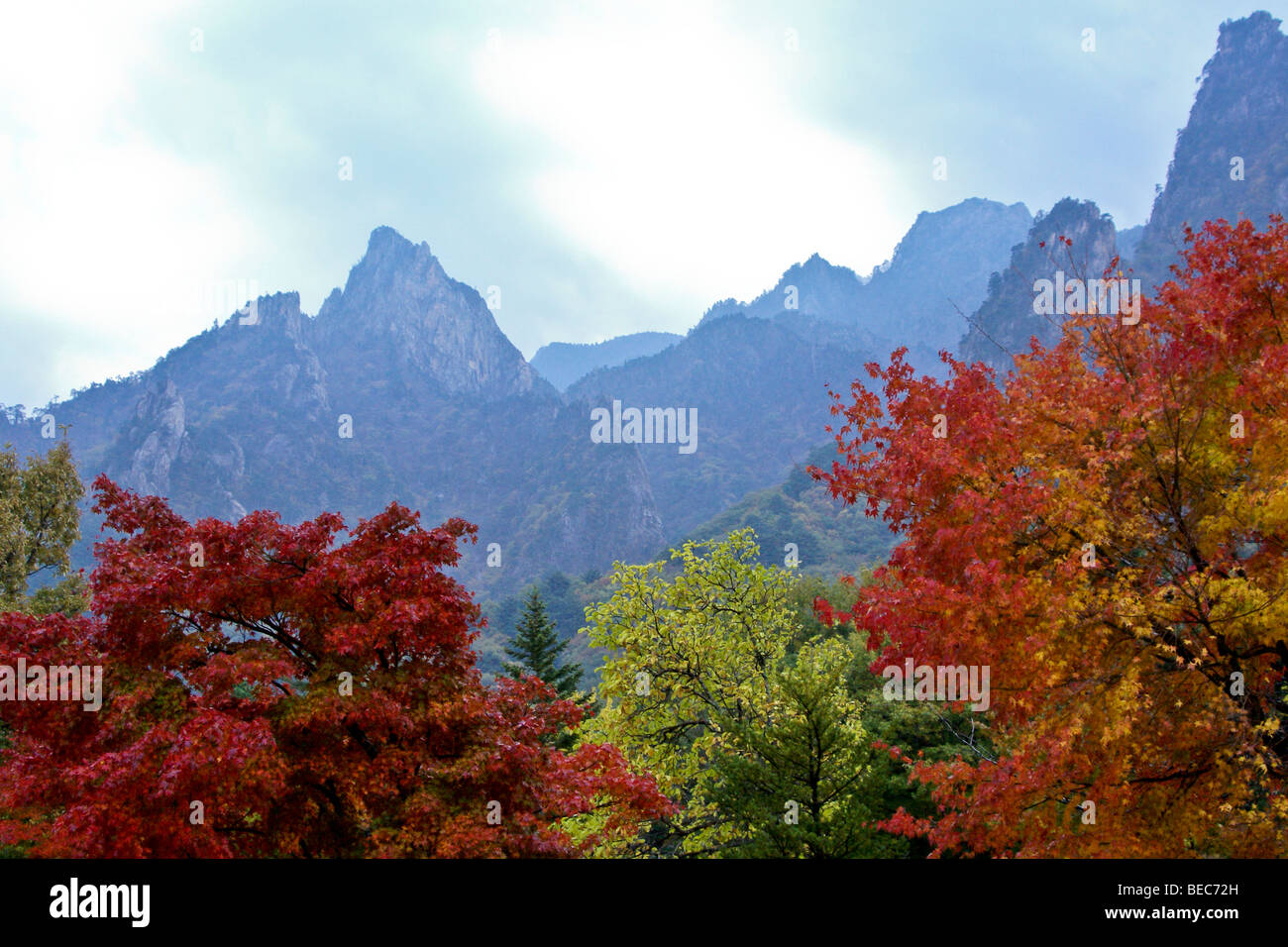 Le Parc National de Seoraksan en automne, de Corée du Sud Banque D'Images
