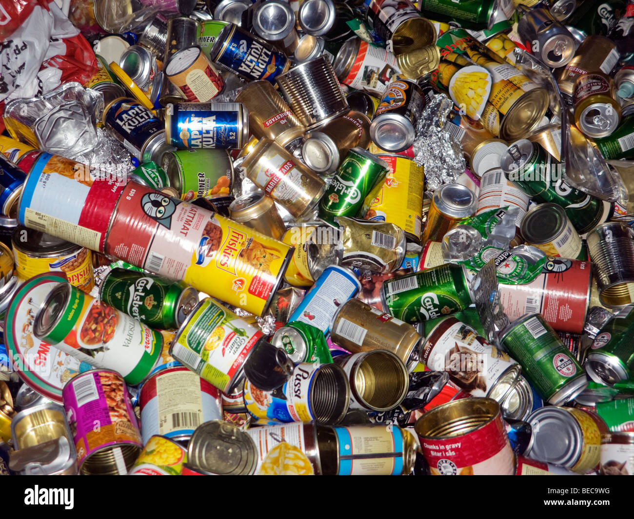 Les boîtes de conserve dans un container de recyclage. Banque D'Images