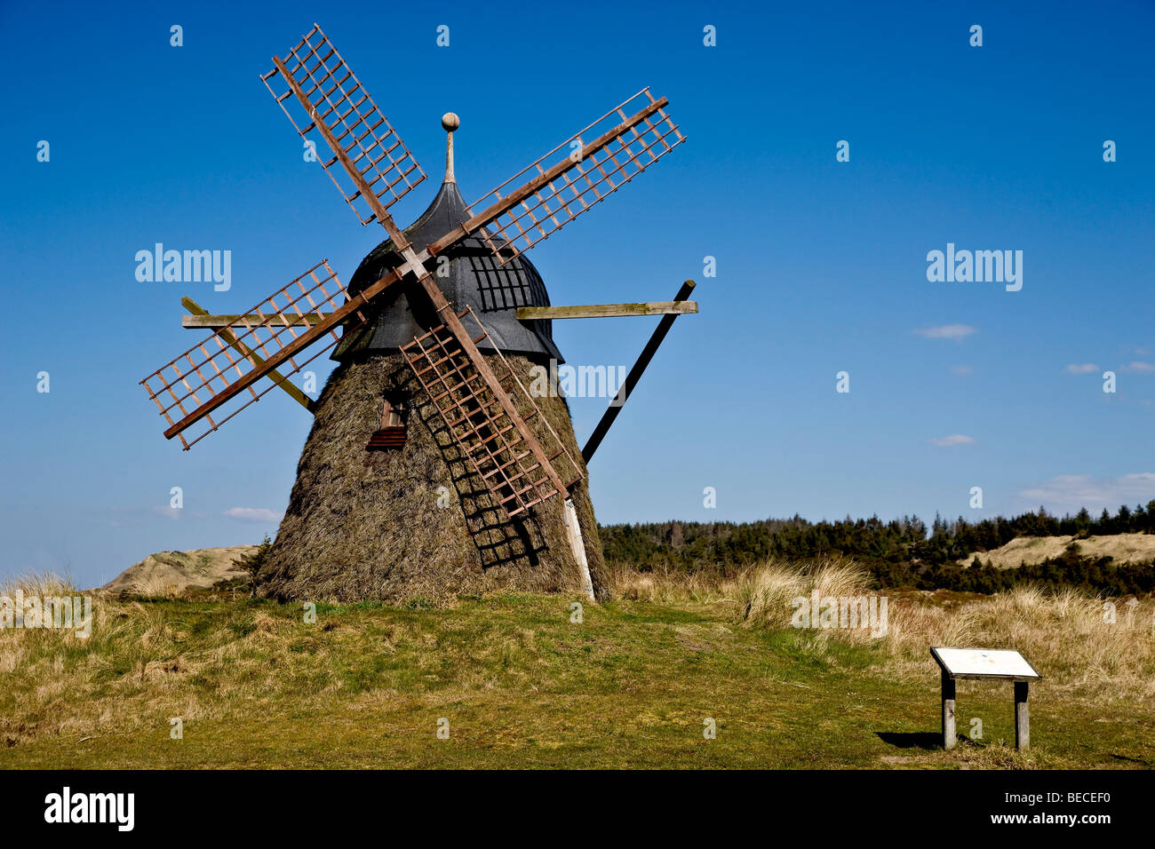 Vieux moulin de chaume heather, Jutland, Danemark Banque D'Images