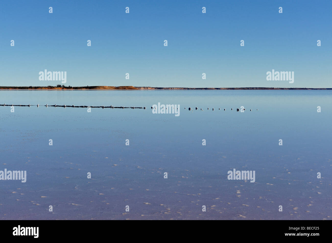 Lake Hart est un lac salé qui est habituellement aride. Cette photo montre avec de l'eau, avec les postes de décomposition d'une ancienne jetée. Banque D'Images