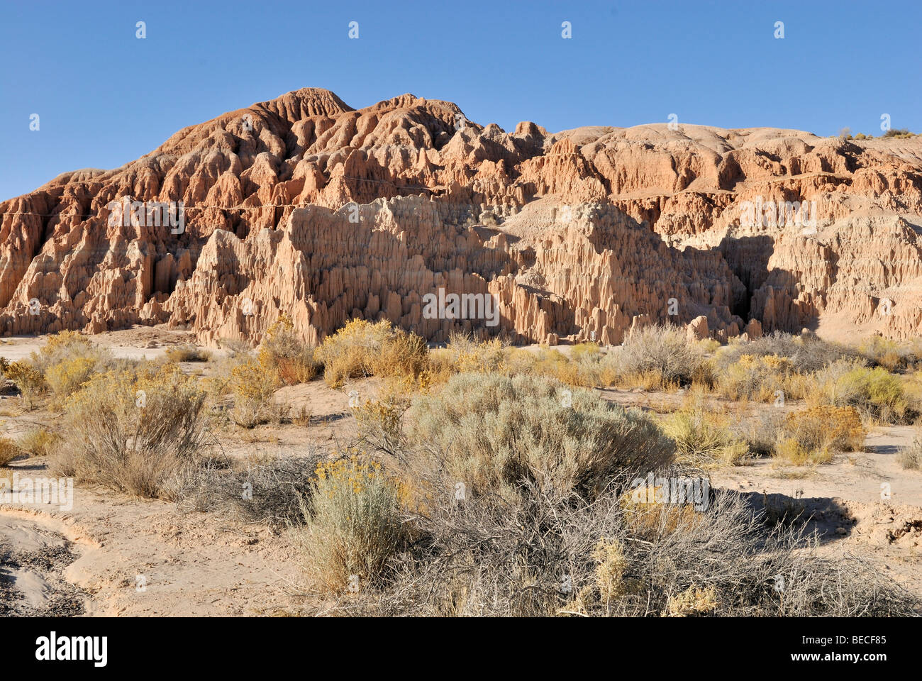Rock formation dans le parc national des Gorges de la cathédrale près de pioche, Nevada, USA Banque D'Images