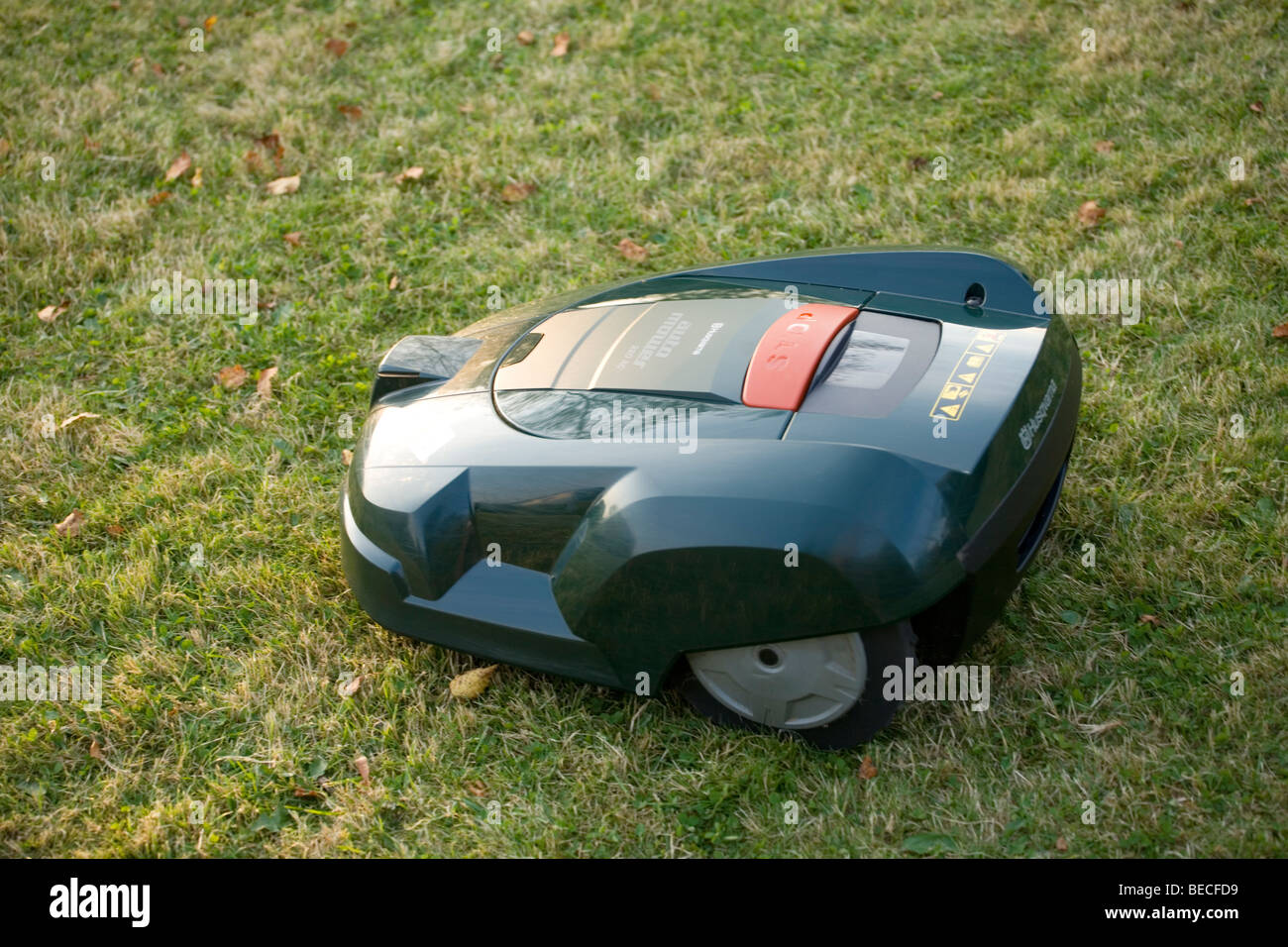 Tondeuse robot automatique coupé de l'herbe Banque D'Images