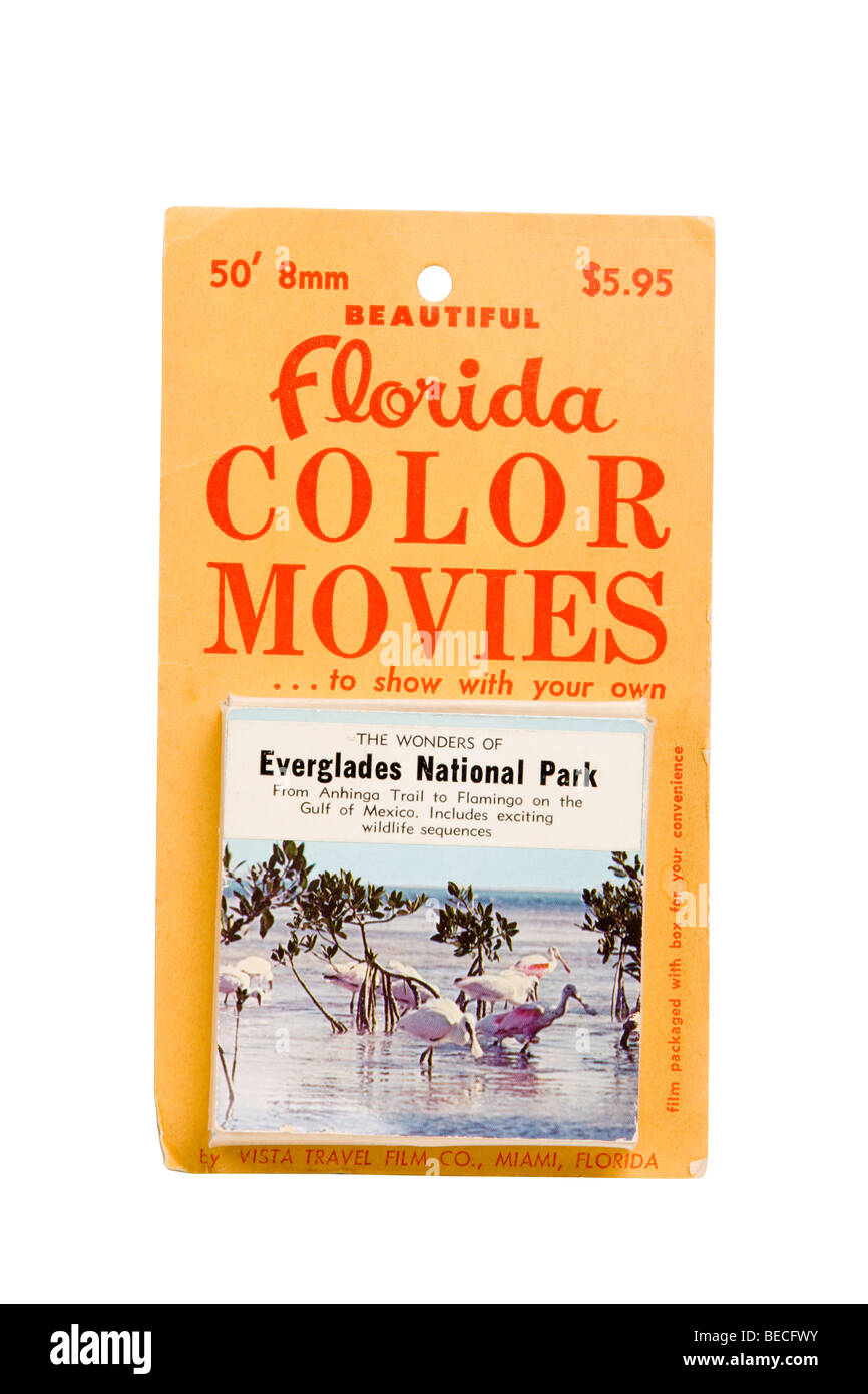 1960 souvenir de l'État de Floride aux États-Unis le Parc National des Everglades 8mm film Banque D'Images