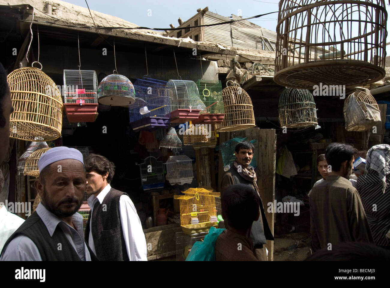 Kaboul, Afghanistan. Marché aux oiseaux. Les hommes dans la rue et les cages à oiseaux Banque D'Images