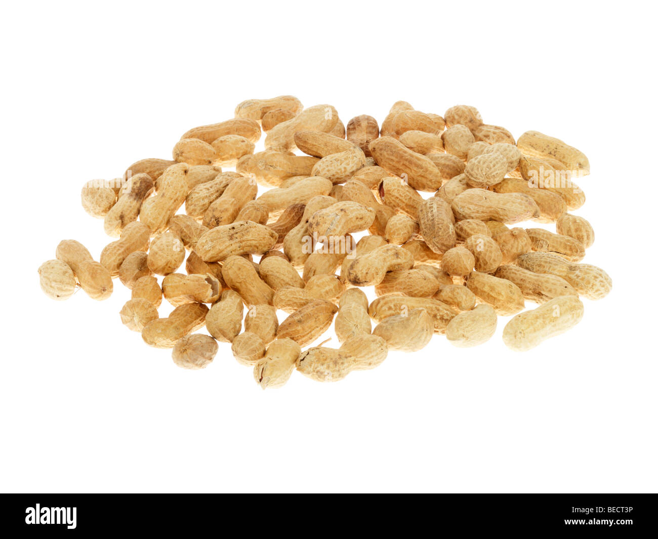 Monkey Nuts Banque D'Images