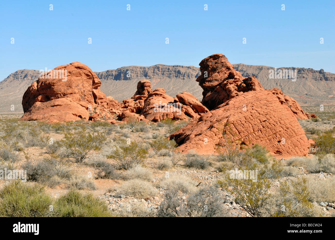 Des formations de roche rouge et brun, la Vallée de Feu State Park, au nord-est de Las Vegas, Nevada, USA Banque D'Images