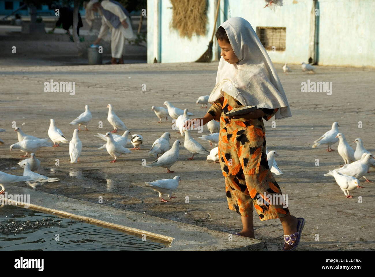 La province de Balkh . Mazar-i-Sharif. Tombeau de Hazrat Ali. Alimentation fille colombes. Banque D'Images