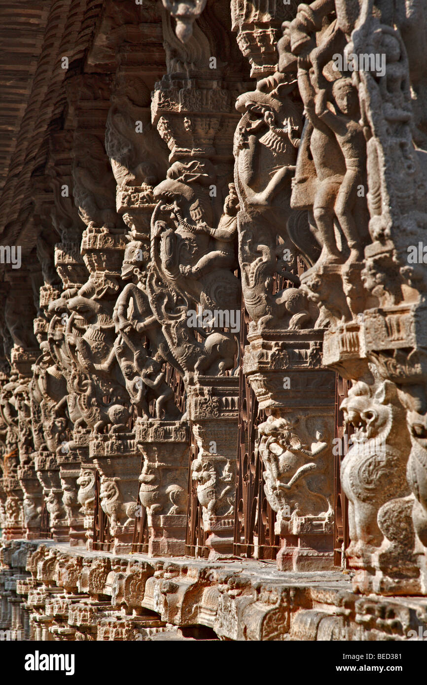 Sculptures en pierre antique Temple de Varadaraja. Kanchipuram, Tamil Nadu, Inde Banque D'Images