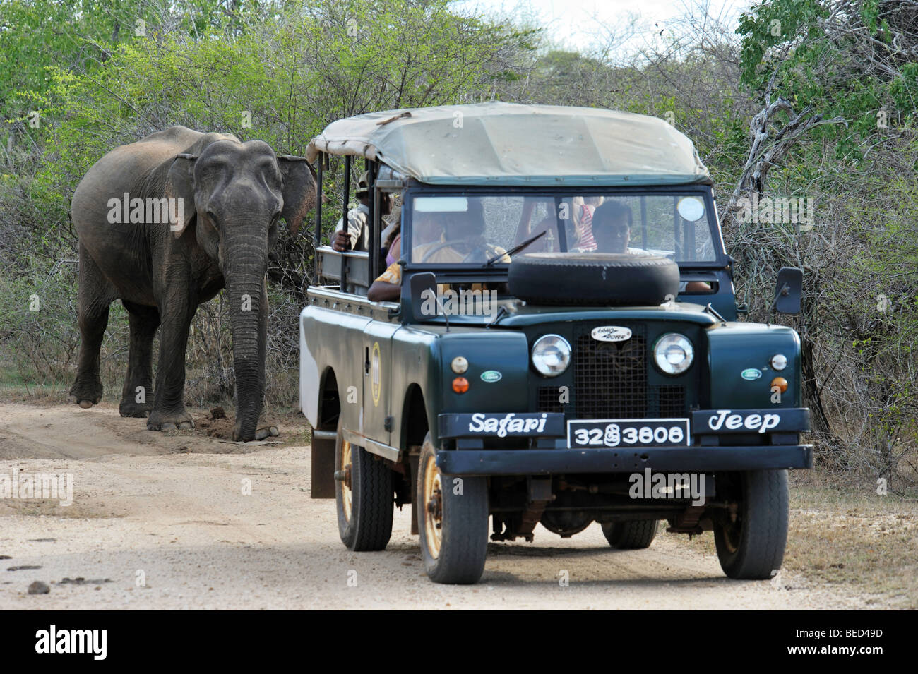 Safari land rover Banque de photographies et d’images à haute ...