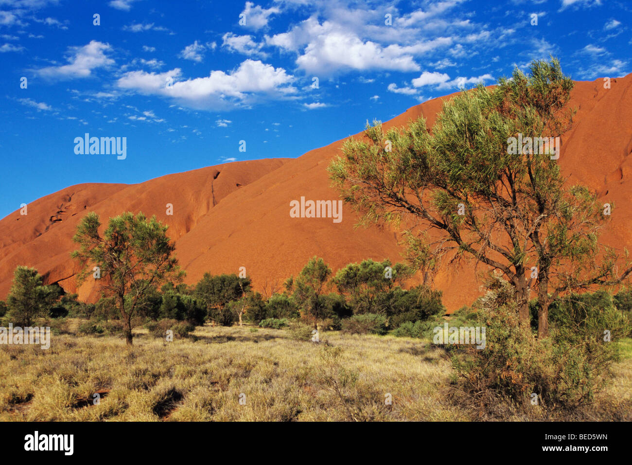Ayers Rock, Uluru, détail, Territoire du Nord, Australie Banque D'Images