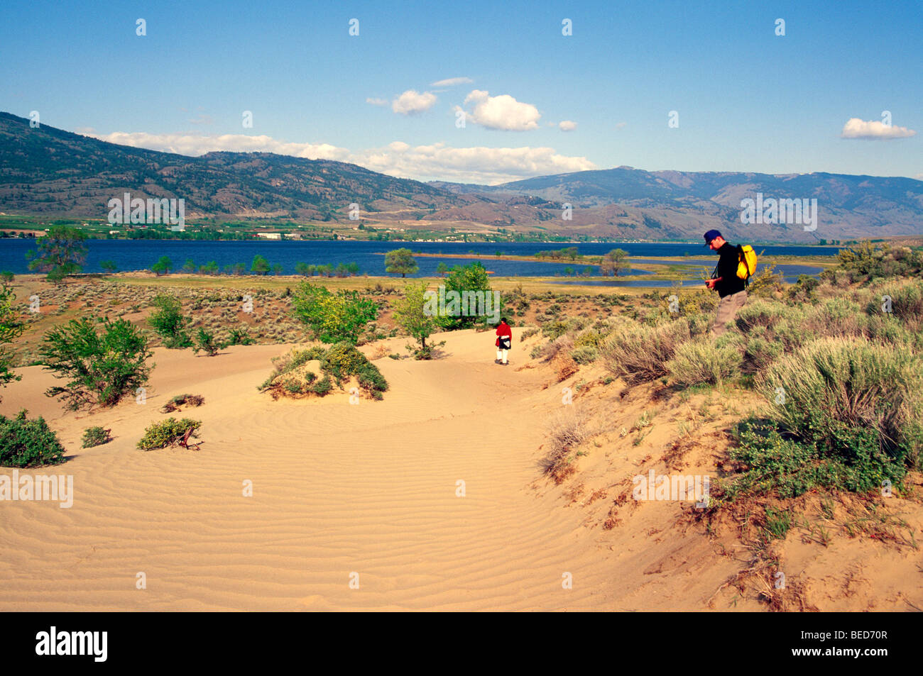 Randonnées dans le désert près d'Osoyoos, en Colombie-Britannique, au sud de l'Okanagan, Colombie-Britannique, Canada - Désert 'Pocket' et le paysage du lac Osoyoos Banque D'Images