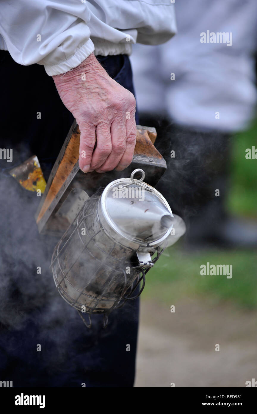 Curling de fumée, de l'injecteur de fumeur d'abeilles Banque D'Images