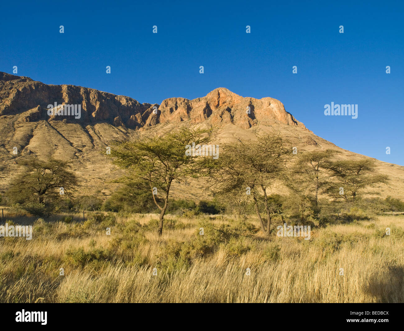 Naukluft mountains dans le nord, la Namibie, l'Afrique Banque D'Images