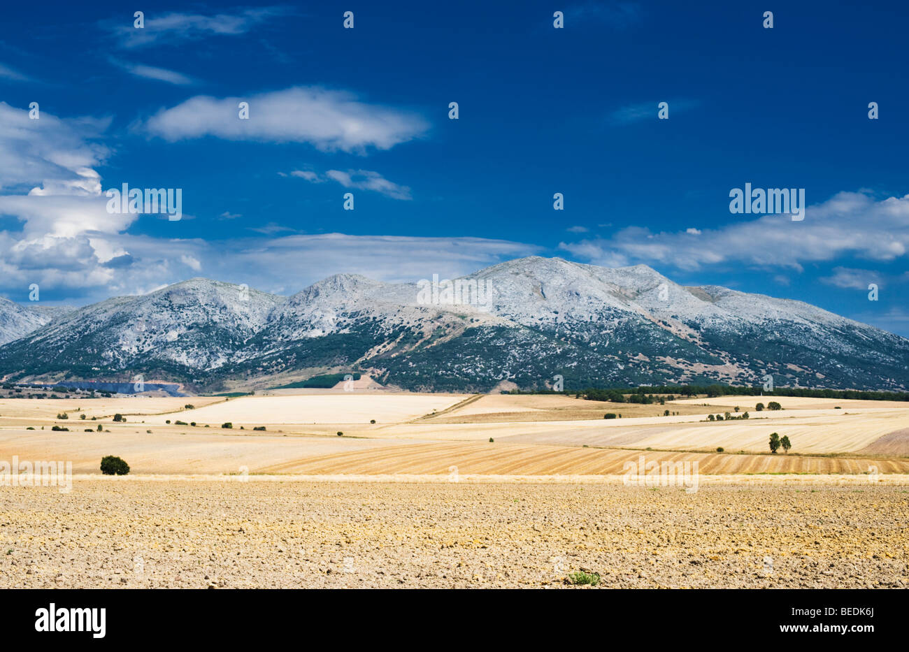 La Meseta espagnole donnant sur les monts Cantabriques, près de Cervera de Pisuerga, Province de Palencia, Castille et León, Espagne Banque D'Images