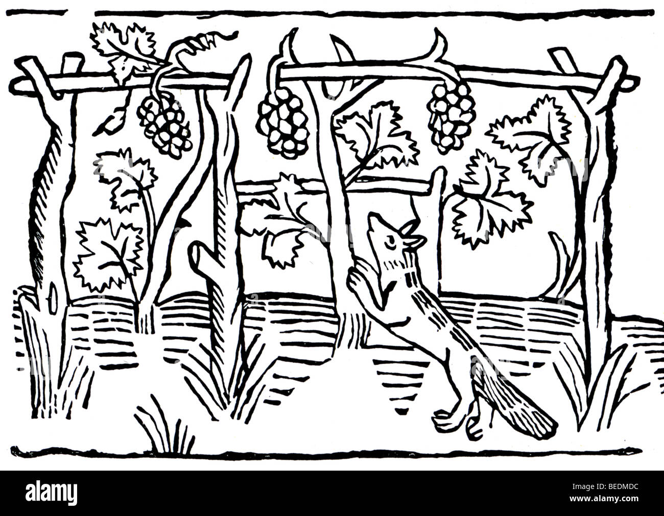 FABLES - l'OP DEA Renard et les raisins - telle que publiée par William Caxton dans l'un des premiers livres illustrés en 1484 Banque D'Images