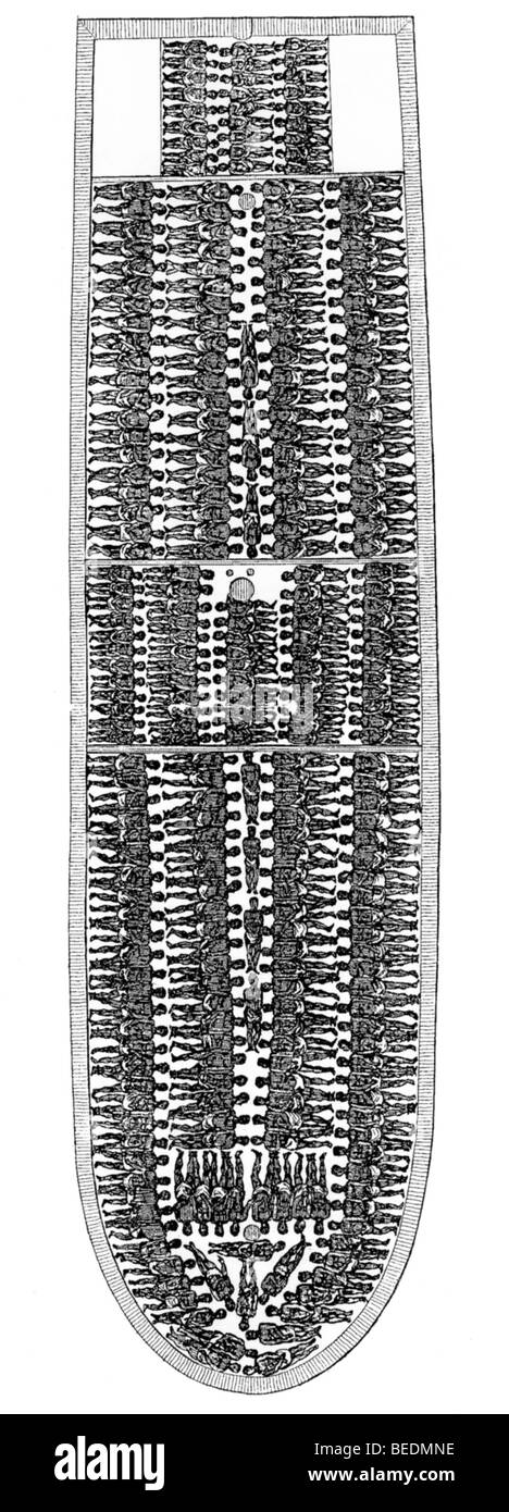 L'esclavage - 1788 Diagramme utilisé le mouvement antiesclavagiste pour montrer comment les esclaves étaient transportés dans ce cas à bord du navire Brookes Banque D'Images