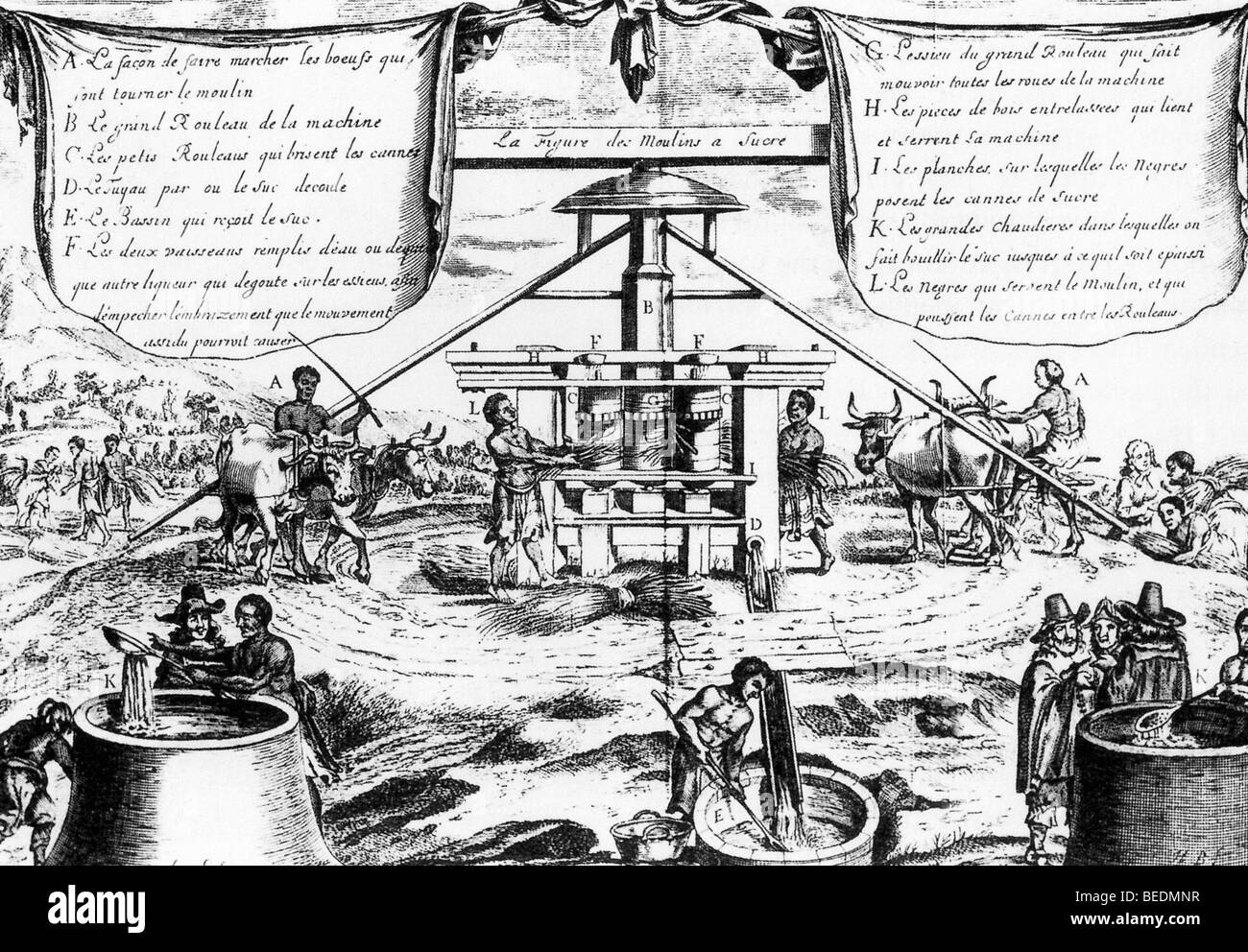 Moulin à CANNE À SUCRE exploités par des esclaves dans les Antilles françaises une colonie dans une gravure du 17ème siècle. Banque D'Images