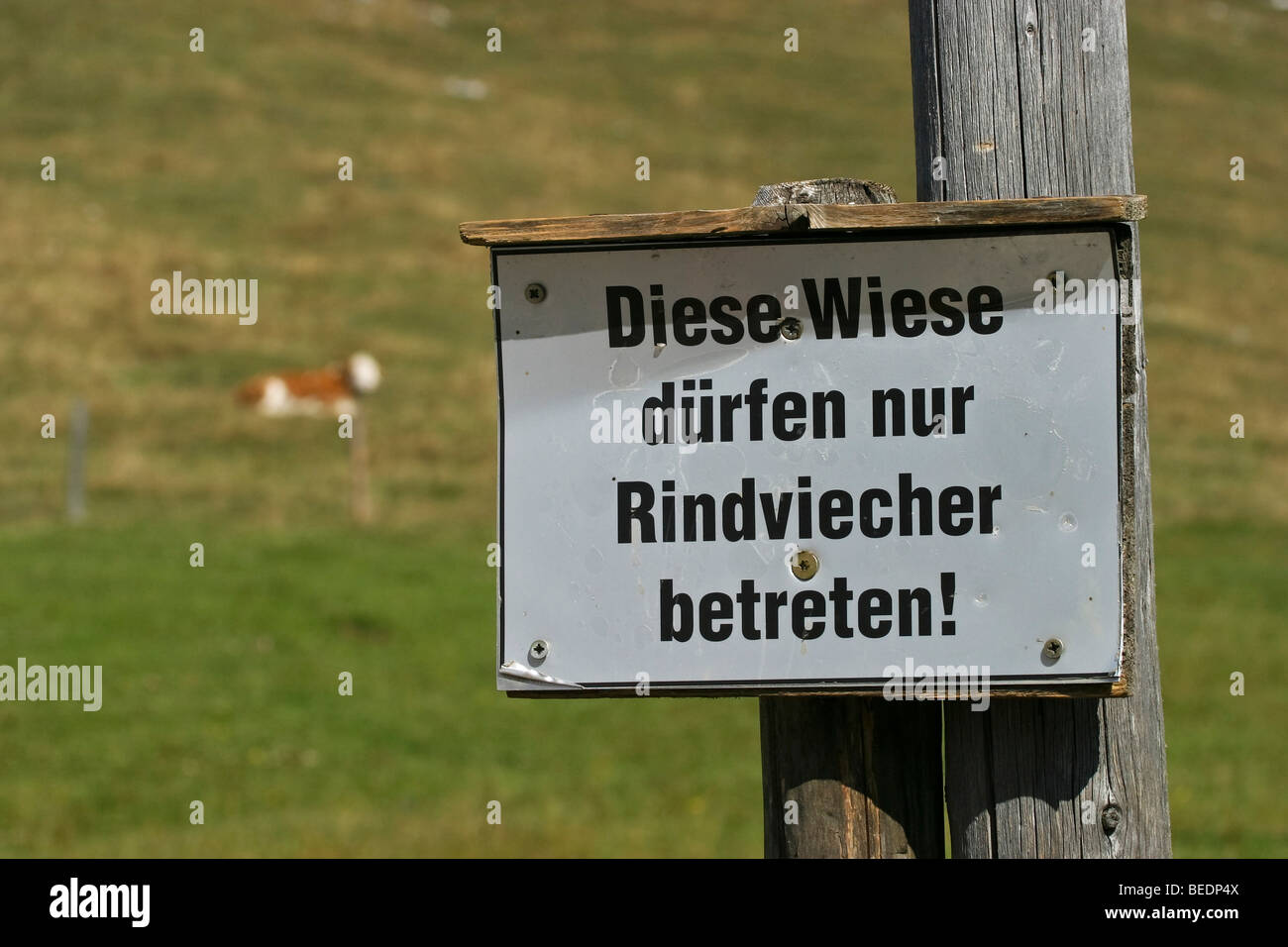 Inscrivez-vous dans les Alpes, "Ce champ est uniquement pour les bovins', Bavaria, Germany, Europe Banque D'Images
