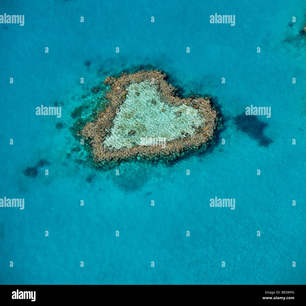 Vue aérienne de l'océan, le coeur en forme de cœur, de récifs coralliens de la Grande Barrière de Corail, zone du patrimoine mondial, la Grande Barrière de corail, l'UNES Banque D'Images