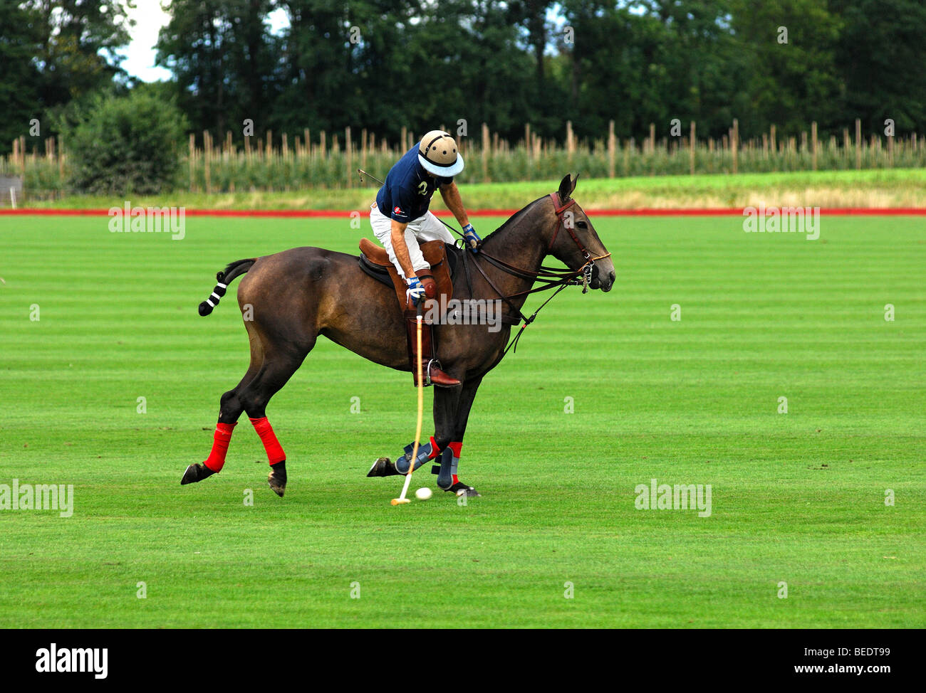 Frapper la balle joueur de polo, polo, sport équestre Banque D'Images