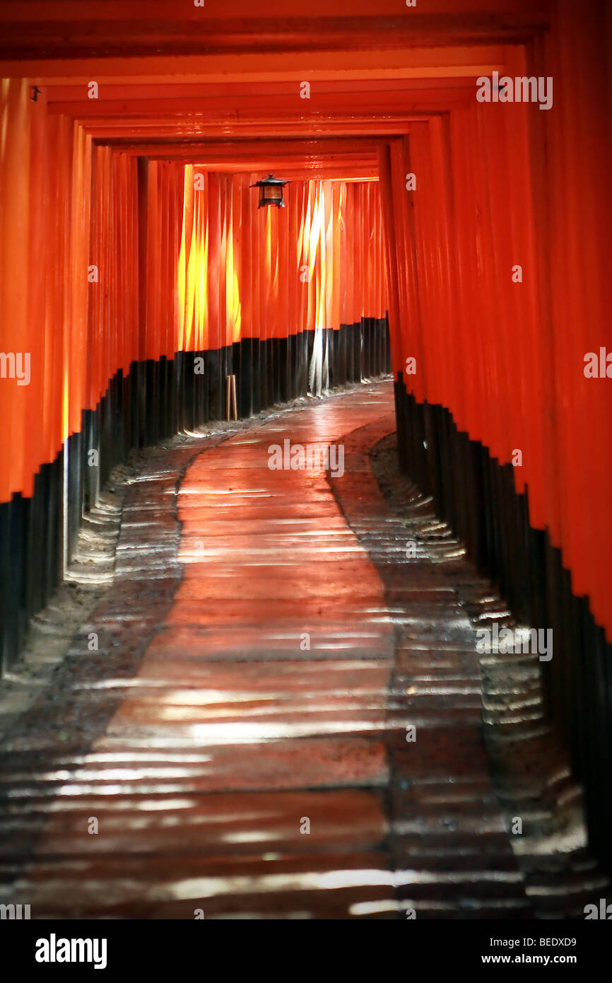 Voir à travers les portes de la Tori rouge Fushimi Inari Taisha à Kyoto, au Japon. Banque D'Images