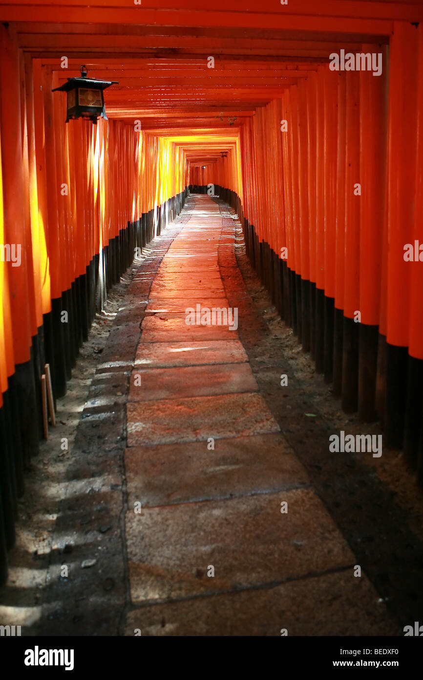 Voir à travers les portes de la Tori rouge Fushimi Inari Taisha à Kyoto, au Japon. Banque D'Images