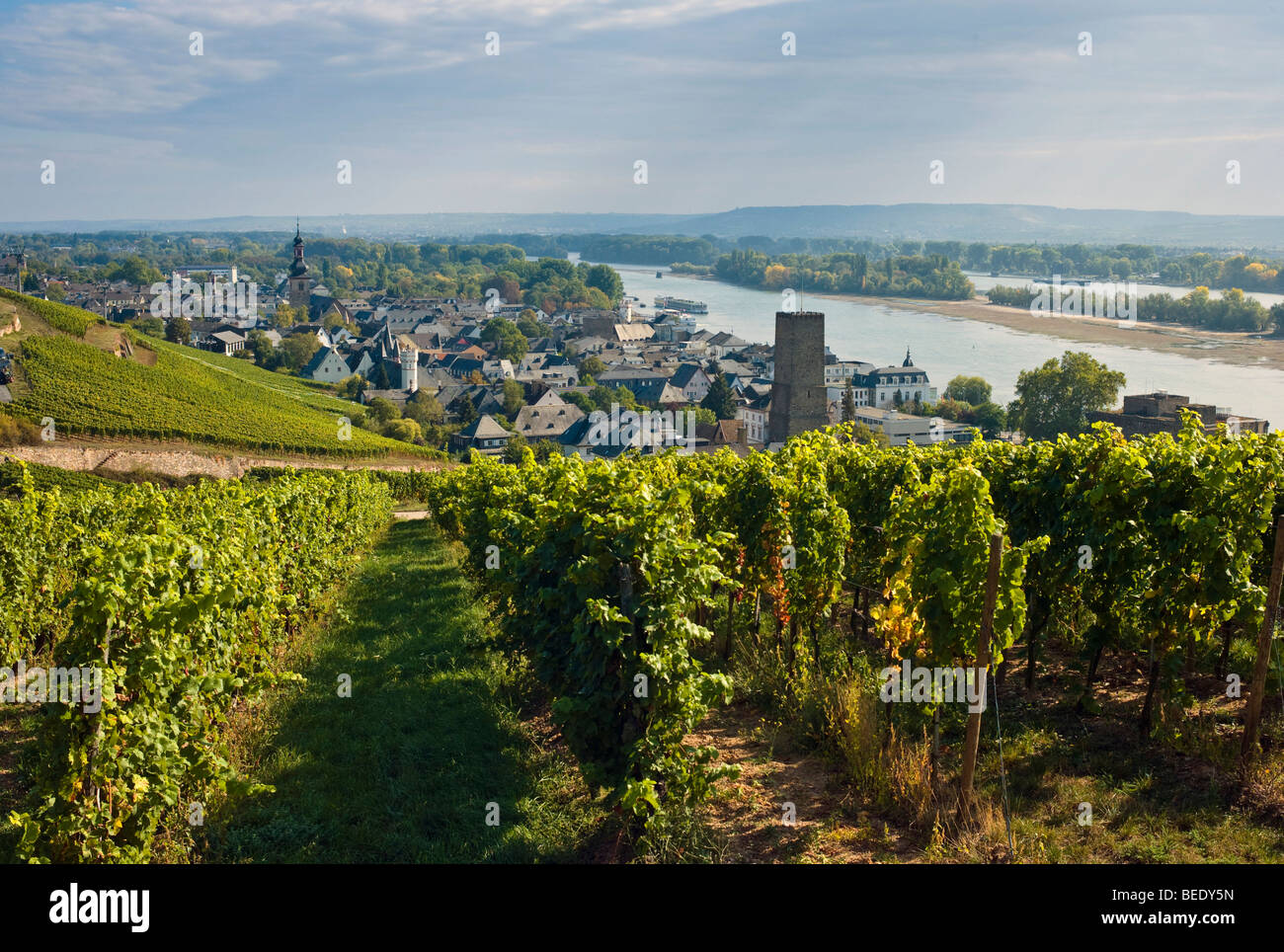 Village viticole de Ruedesheim, Rheingau, Hesse, Germany, Europe Banque D'Images