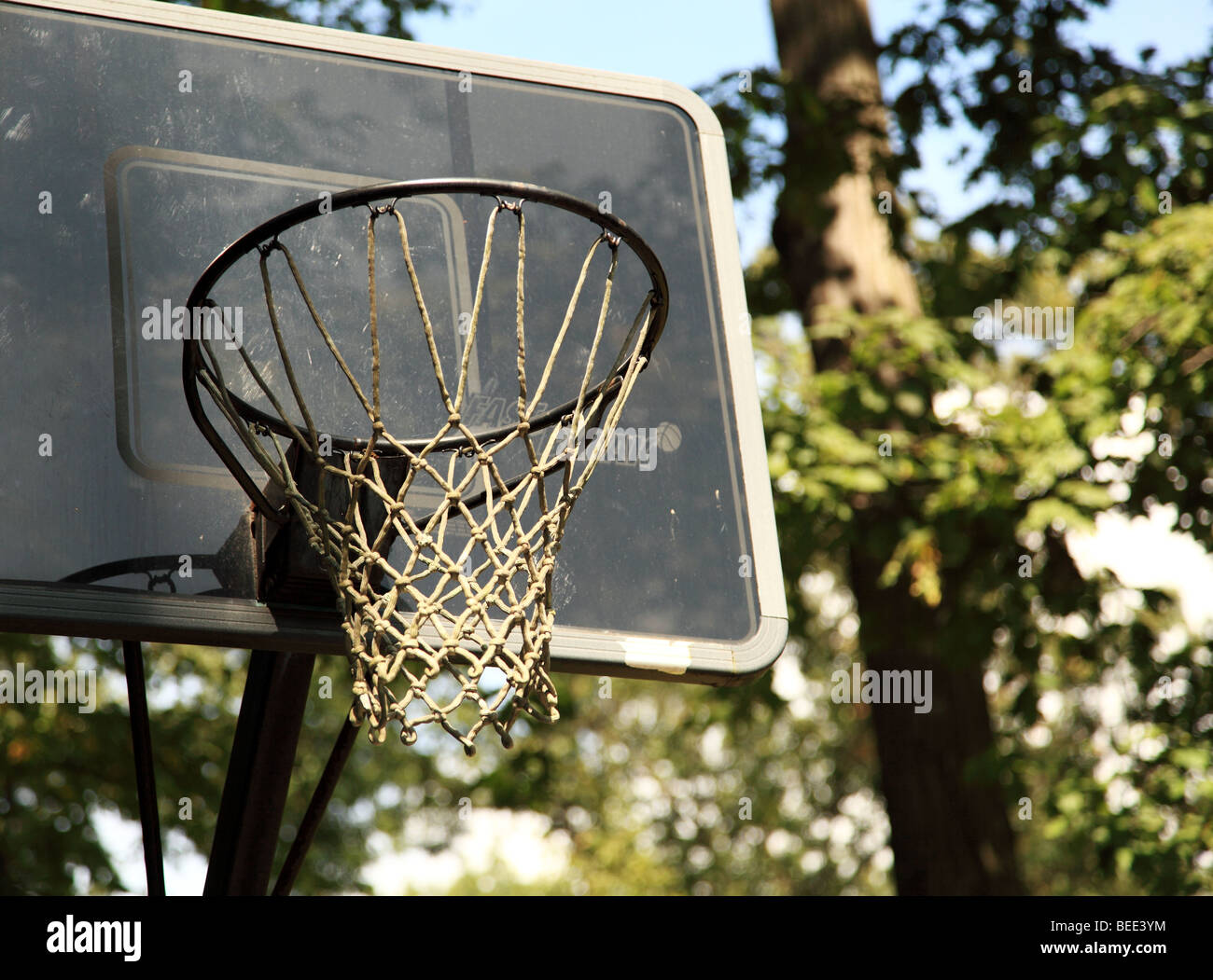 Un terrain de basket hoop dans un jardin de banlieue Banque D'Images