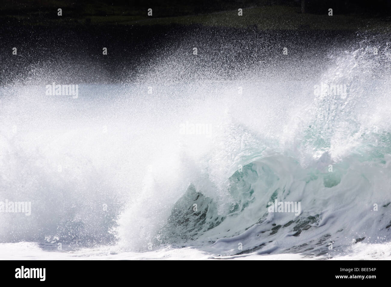 La vague s'écraser avec surf blanc Banque D'Images