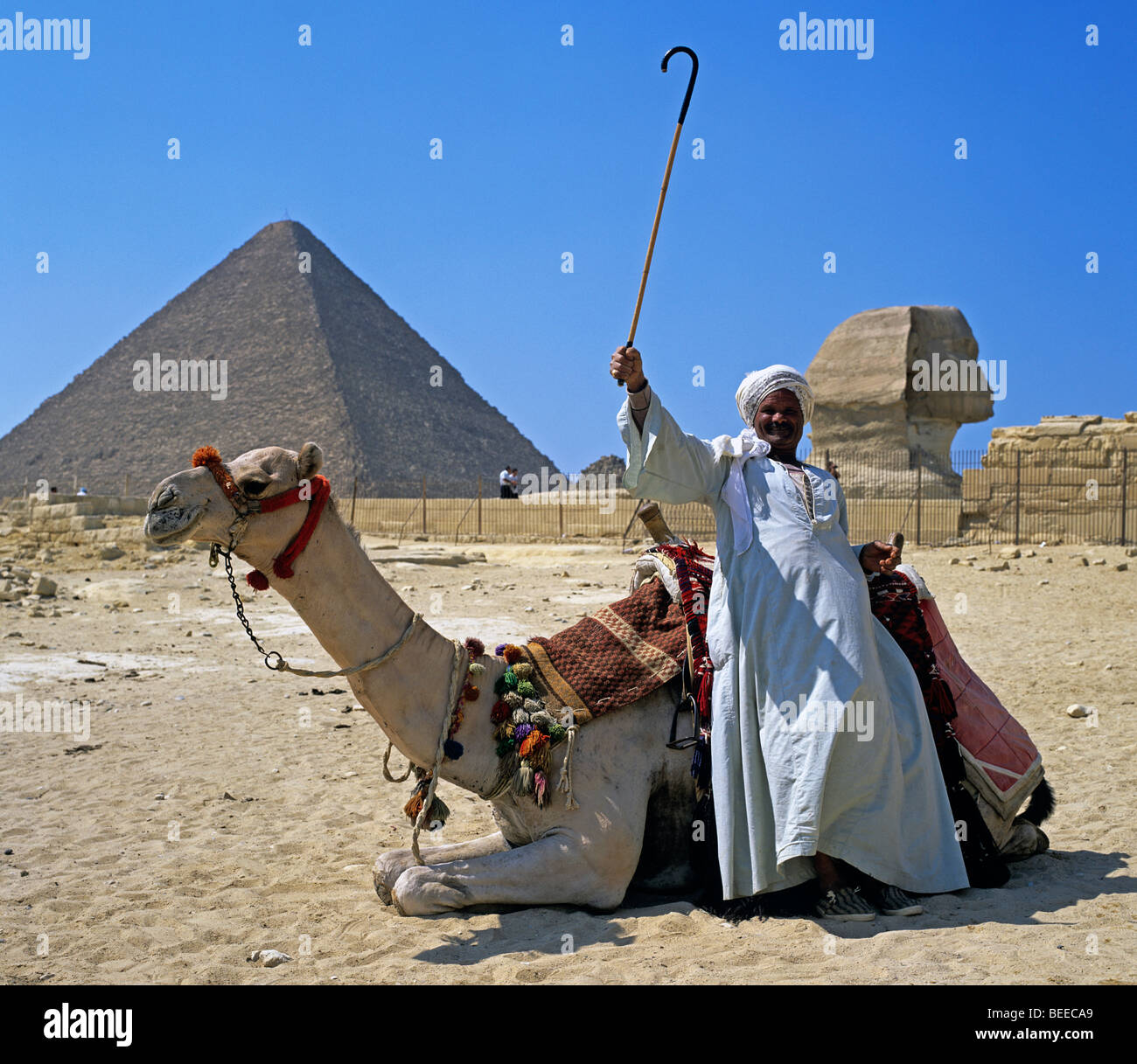 Chaise bédouine avec homme Camel à l'extérieur de la Grande Pyramide Gizeh Egypte Banque D'Images