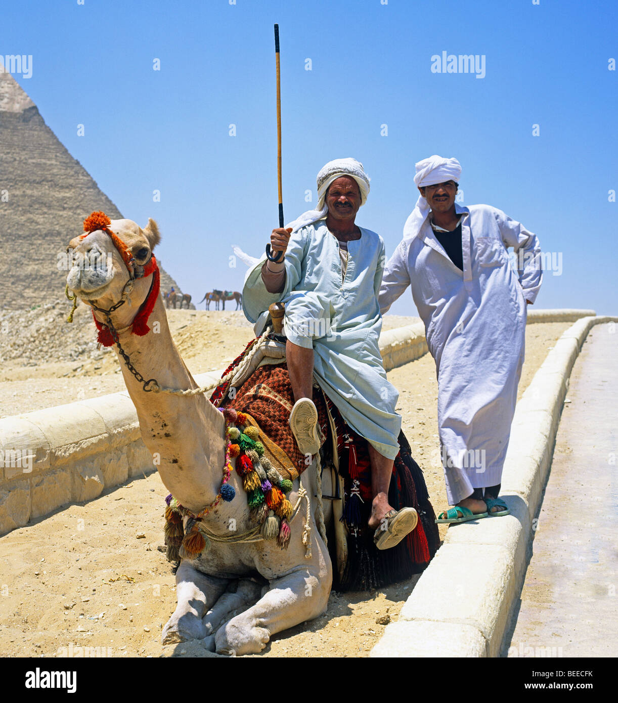 Les hommes bédouins avec Camel à l'extérieur de la Grande Pyramide Gizeh Egypte Banque D'Images