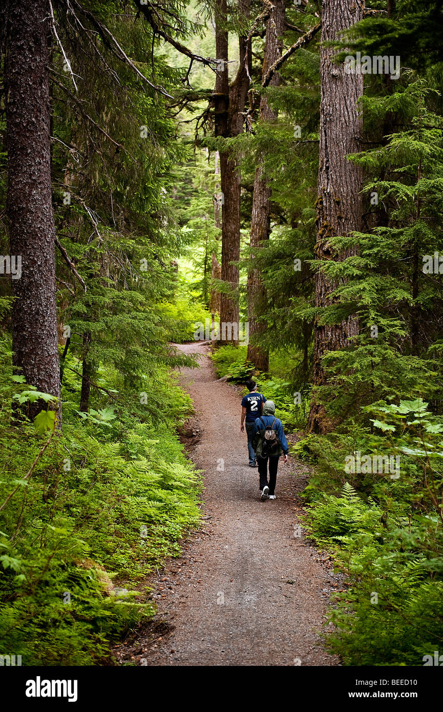Sentier de randonnée de gagnant, la Forêt Nationale de Chugach,, Alaska, USA Banque D'Images
